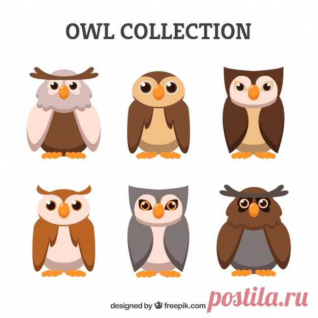 Набор символов сова Более миллиона свободных векторов, PSD, фотографии и бесплатные иконки. Эксклюзивные халявы и все графические ресурсы, которые необходимые для ваших проектов