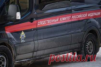 Появились кадры с места обнаружения тела обезглавленного мальчика