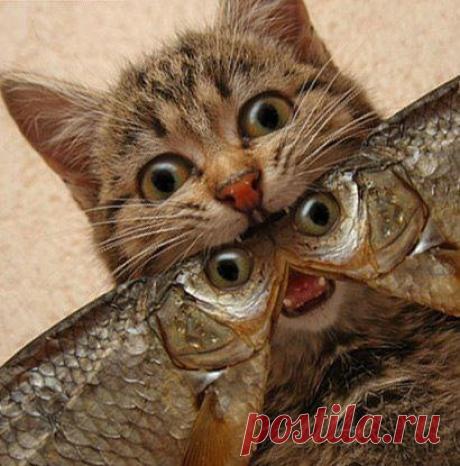 Мои закладки