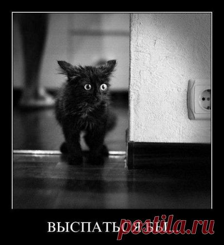 Интересные новости