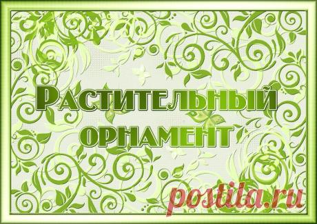 Растительный орнамент(векторный клипарт)