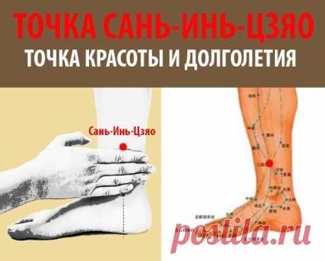 Хочешь похудеть — нажми на точку САНЬ-ИНЬ-ЦЗЯО | Движение - это жизнь | Яндекс Дзен