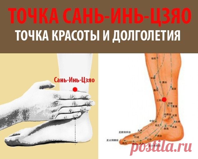 Хочешь похудеть — нажми на точку САНЬ-ИНЬ-ЦЗЯО | Движение - это жизнь | Яндекс Дзен