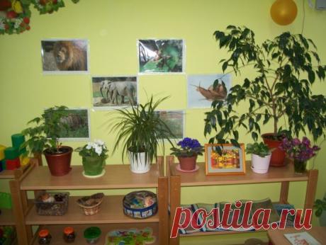 современные стандарты оформления 2 младшей группы детского сада- фото: 10 тыс изображений найдено в Яндекс.Картинках