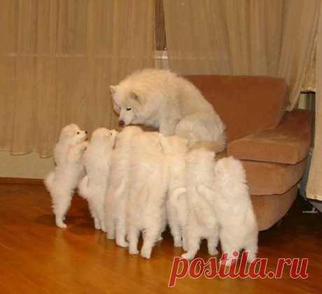 Мой Мир@Mail.Ru