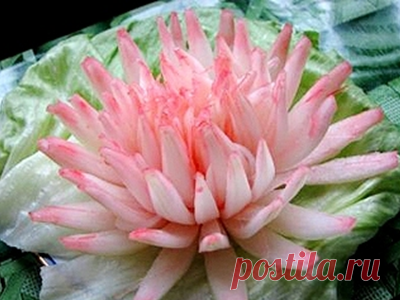 Как красиво оформить блюда. Хризантема из репчатого лука