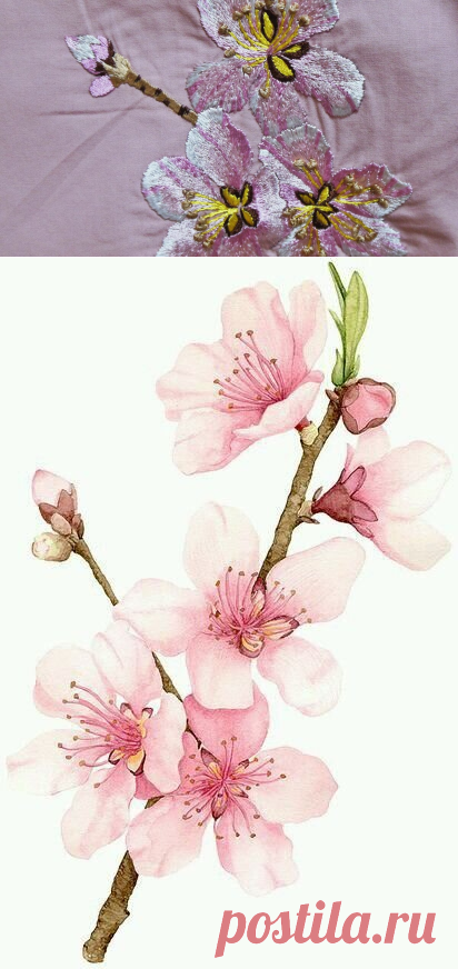 Вышивка гладью. Цветы. | Вязание с Irina Bronya | Дзен