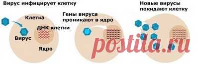 Оксолиновая мазь: инструкция, показания, применение, отцывы, цена