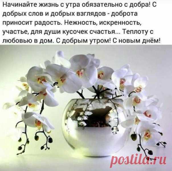 ЯГОДКИ, ДОБРОЕ УТРО, ОТЛИЧНОГО ДНЯ! 
КАКИЕ ПЛАНЫ НА СЕГОДНЯ? ПИШЕМ В КОММЕНТАРИЯХ

Весна и женщина похожи,
Со мною согласятся все.
Что женщине всего дороже,
То дорого, самой весне.
Весна торопится проснуться,
Прекрасней всех на свете быть.
От суеты сует очнуться,
Дождем весенним все обмыть.
И женщина должна проснуться,
Примерившись душой к весне.
Судьбе стараясь улыбнуться,
Мир счастья подарив себе.

Весна,как красота природы
Отправившись в свой новый путь.
Природе, всей д...