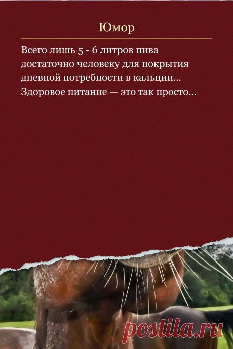 Цитата про «Юмор» — Всего лишь 5 - 6 литров пива достаточно человеку…