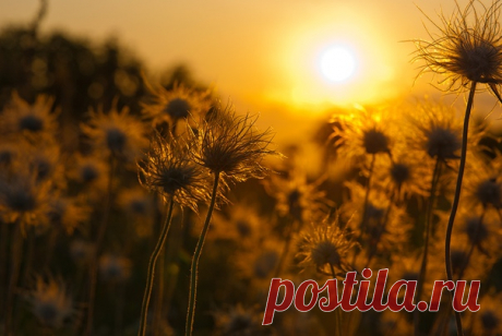 ..●·٠•.ஐ≈......≈ ஐ...·٠•●
Молодая Луна вся сверкала,
С высока за Землёй наблюдала.
Любовалась огнями и светом
Чтобы помнить всё это с рассветом.

...Когда сонное утро настало,
И погасло всё то, что сверкало...
Она с горечью, вдруг, осознала
...Что дней Лета осталось так мало.

Автор: "Мил@"
Август, 2019
#авторские_стихи #последние_дни_лета
#поэзия #жизненные_стихи #август