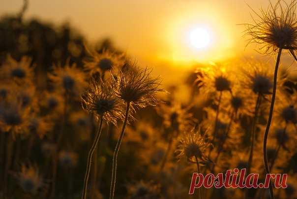 ..●·٠•.ஐ≈......≈ ஐ...·٠•●
Молодая Луна вся сверкала,
С высока за Землёй наблюдала.
Любовалась огнями и светом
Чтобы помнить всё это с рассветом.

...Когда сонное утро настало,
И погасло всё то, что сверкало...
Она с горечью, вдруг, осознала
...Что дней Лета осталось так мало.

Автор: 