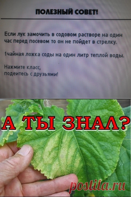 (99) Одноклассники