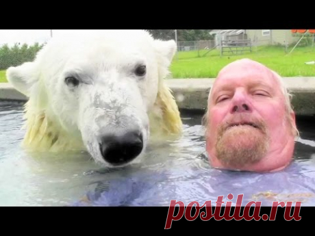 Ах Эта Дикая Природа! В Кругу Друзей — социальная сеть