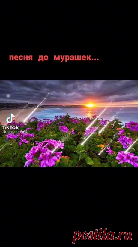 ff1258b3f3deadbe8335c23851674806.mp4