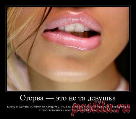 СТЕРВОЗНОСТЬ ПО ЗНАКАМ ЗОДИАКА.