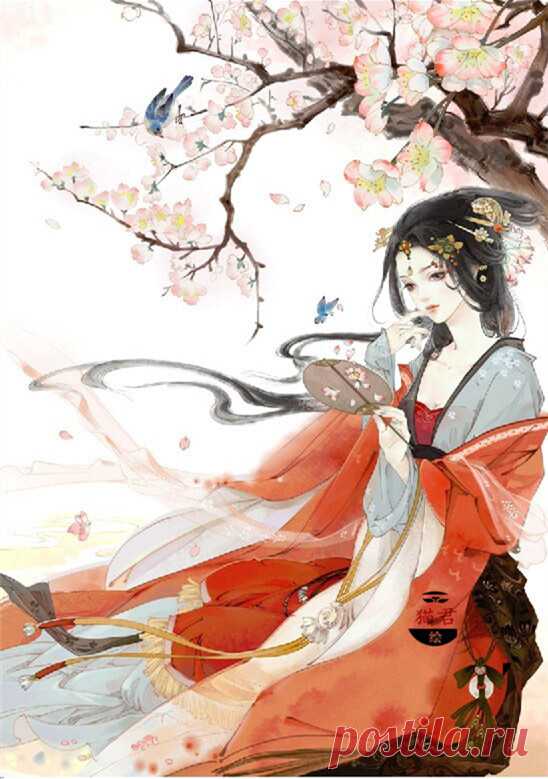 作者' 猫君大白 °  Author's Cat King Dabai °