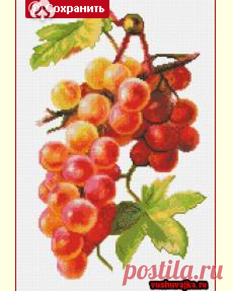 Вышивка крестом схемы &quot;Виноград&quot;