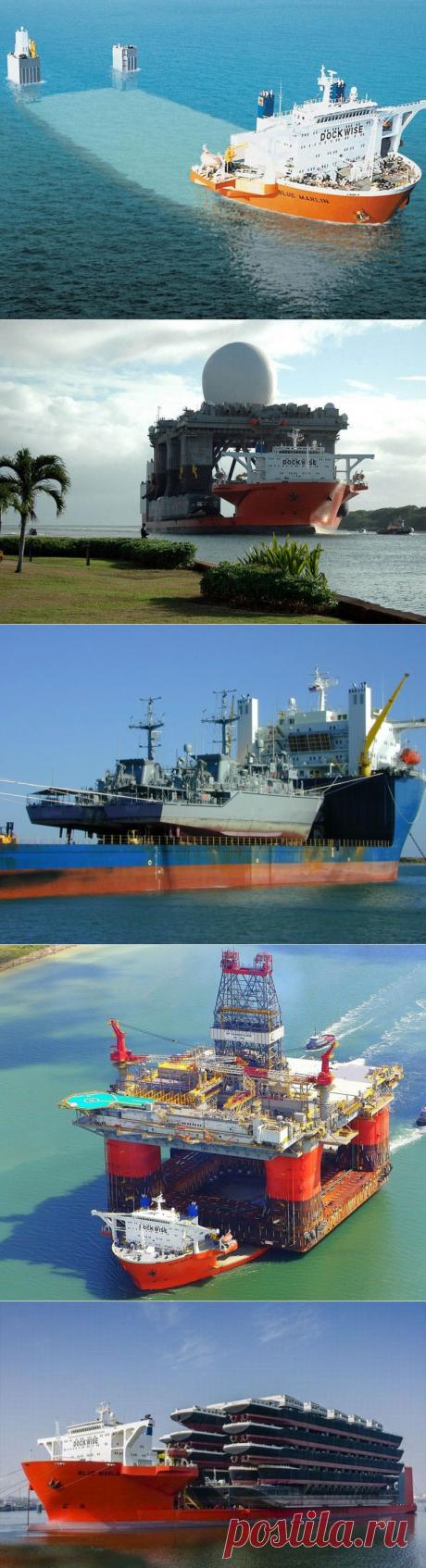 Морской гигант Blue Marlin • НОВОСТИ В ФОТОГРАФИЯХ