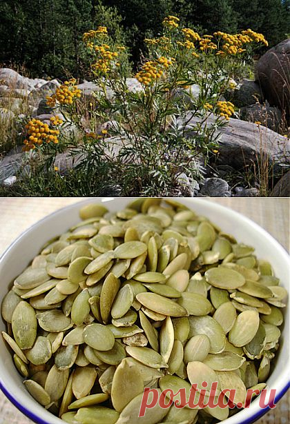 Как избавиться от паразитов | Восточная медицина, омоложение и долголетие