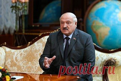 Описаны подробности жизни пса Лукашенко. Журналисты выяснили подробности жизни питомца президента Белоруссии Александра Лукашенко, который часто сопровождает своего хозяина на политических встречах и в зарубежных командировках. Как пишут авторы материала, сведения о том, кто подарил главе государства белого шпица Умку, не разглашались.