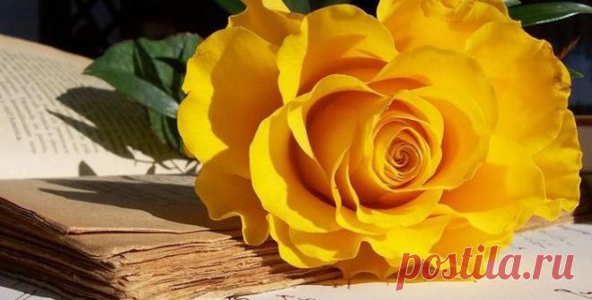 ТЕСТ!!! Кто ты? Выигрывающий или Проигрывающий? — Планета и человек