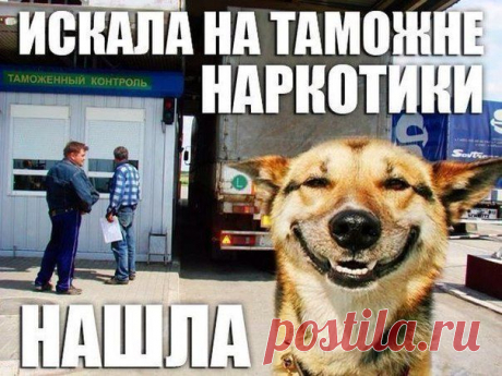 ха-ха....нашла я....