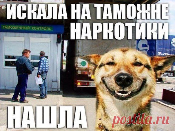 ха-ха....нашла я....