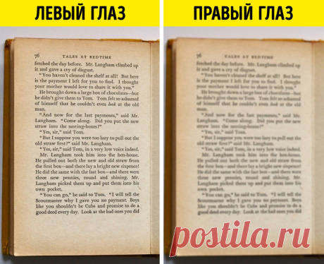 Первые признаки рассеянного склероза, о которых стоит знать не только людям в возрасте 
Рассеянный склероз является довольно молодой болезнью, так как его диагностируют в большинстве случаев у людей в возрасте от 20 до 50 лет. Наиболее часто он встречается у женщин в возрасте 20–40 лет,…
