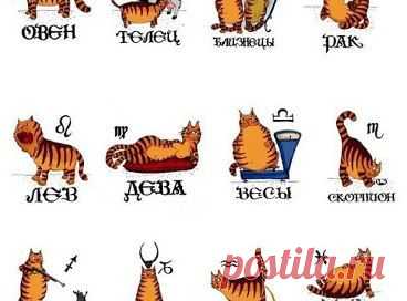 Одноклассники