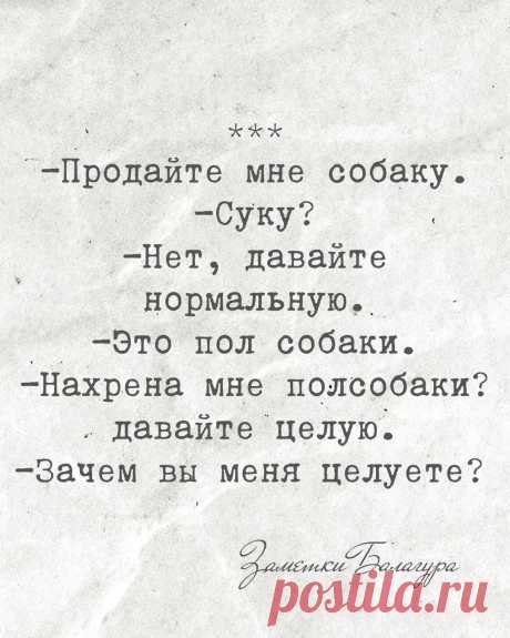 Купил собаку