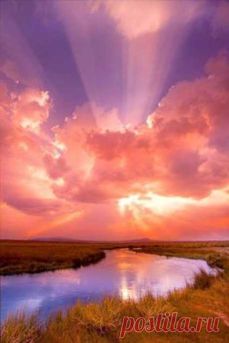 (2) Pinterest
