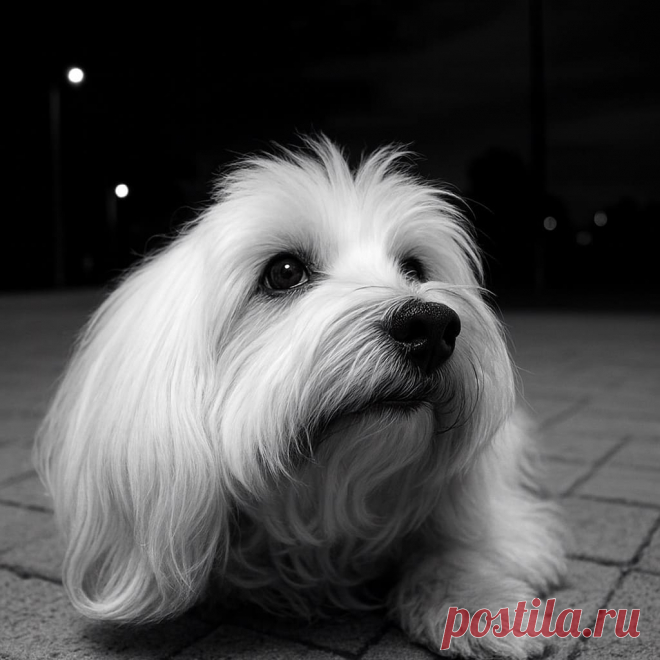 Доброта - OGADANIE.RU