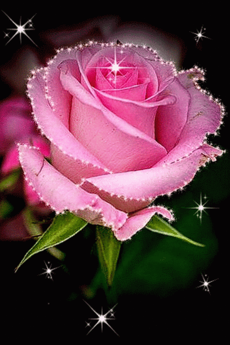 tumblr_oofq1ssCJY1vux350o1_400.gif (346×518)