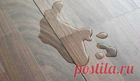 Любопытные факты из курса физики, которые помогут в быту Физика – школьный предмет, при изучении которого многие сталкиваются с проблемами. Из курса физических знаний многие почерпнули лишь цитату Архимеда: «Дайте мне точку опоры, и я переверну мир!». На са…