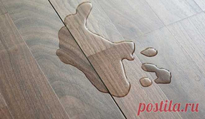 Любопытные факты из курса физики, которые помогут в быту Физика – школьный предмет, при изучении которого многие сталкиваются с проблемами. Из курса физических знаний многие почерпнули лишь цитату Архимеда: «Дайте мне точку опоры, и я переверну мир!». На са…