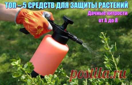 1 непрочитанный чат