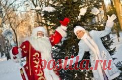 Сегодня 30 января отмечается "День деда Мороза и Снегурки"