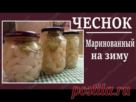 Чеснок маринованный зубчиками на зиму. Маринованный чеснок