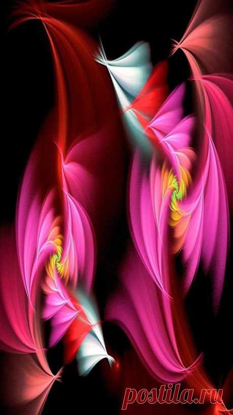 Flowers – Google+