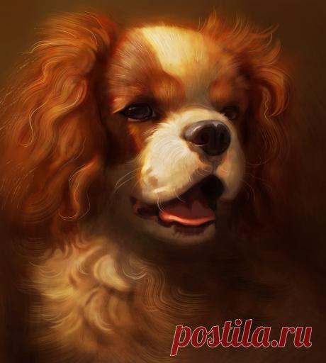 Golden retriever by shrimpu-art on DeviantArt