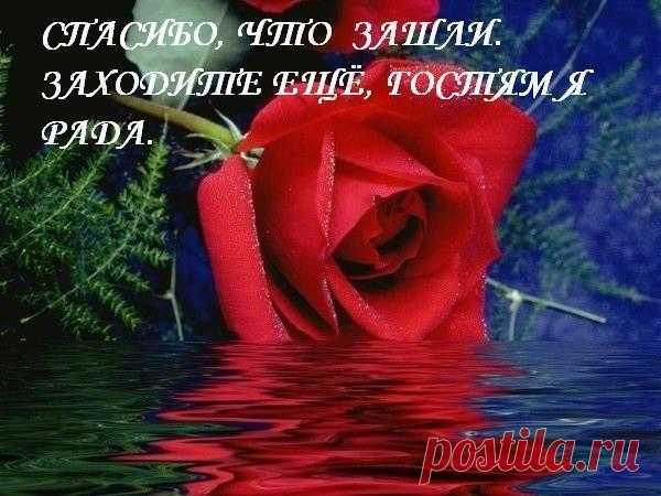 oe_dcb8cd35f8cc4ab5b2fe4d075d1d964f.jpg (600×450)