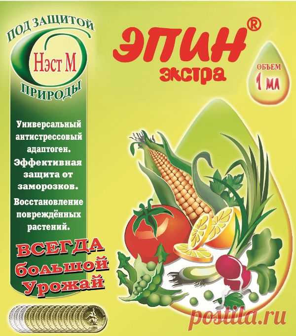 Эпин для комнатных растений: что это? Эпин: инструкция по применению и действие - Женский журнал LadySpecial.ru : специально для женщин