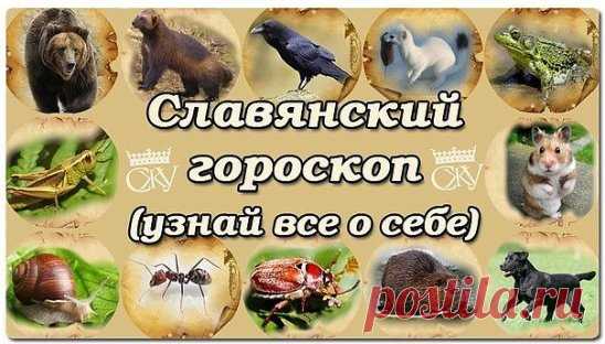 (1) Одноклассники