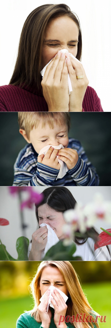 Дневная и ночная чихалка на среду по времени