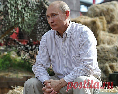 Скрипит Америка зубами... Да им, убогим, не понять, 
Что НИКОГДА вот этот парень Не посрамит Россию-мать.