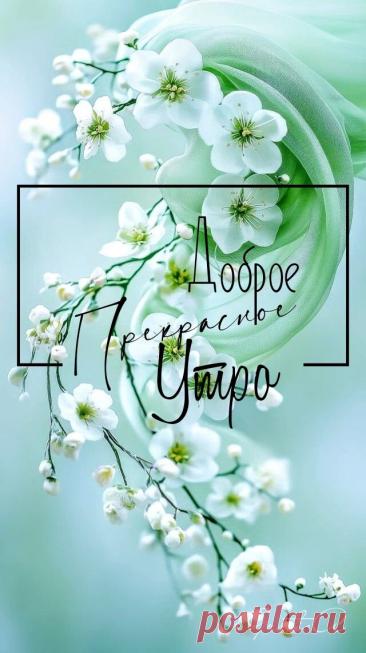 С добрым утром Привет Здрасте