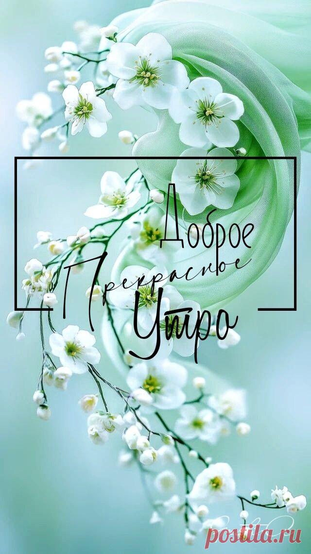 С добрым утром Привет Здрасте