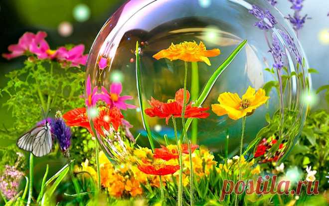 Праздники и памятные даты июля - календарь праздников