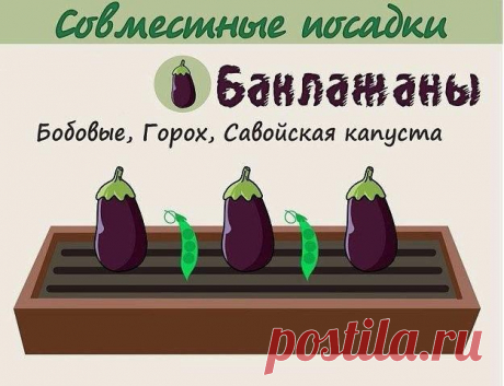 Анна Патренкова